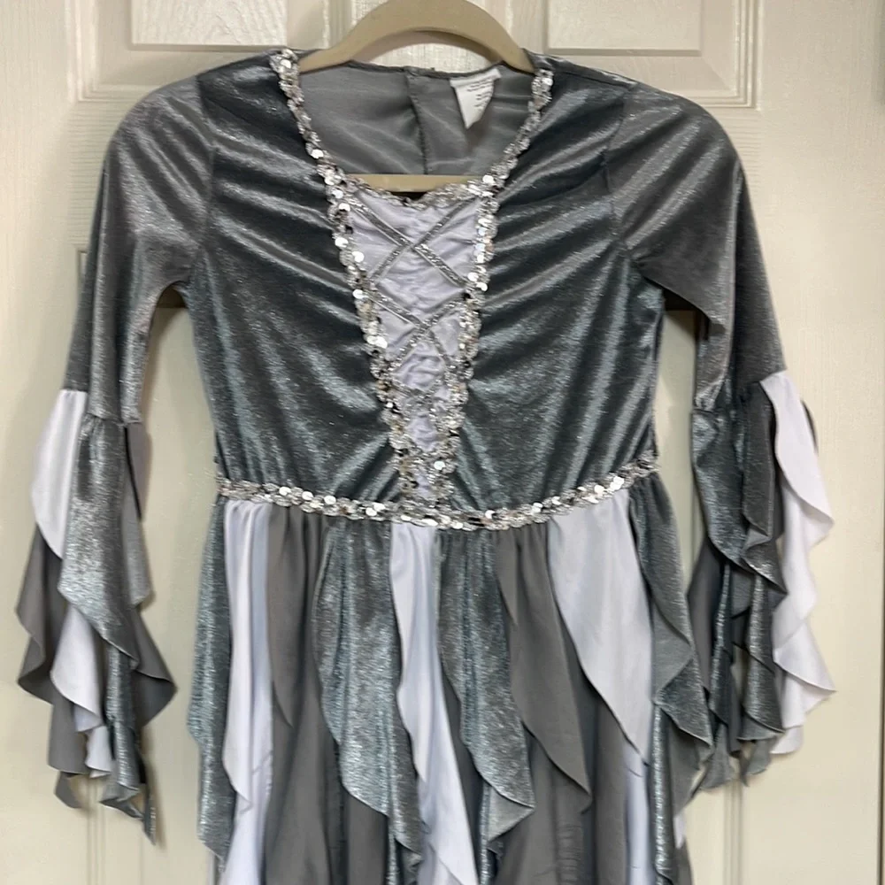 Costume. Girls size medium. See pictures! Used condition!